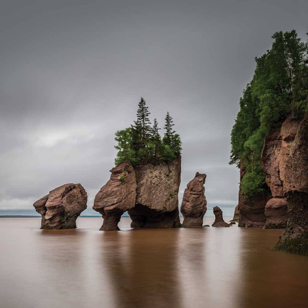 New Brunswick’s Fundy National Park, home to the world’s highest tides.