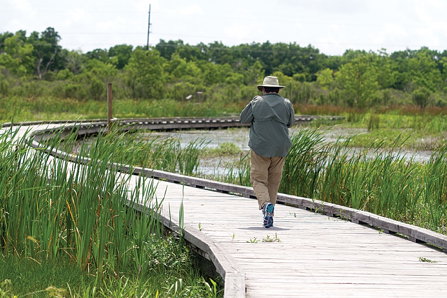 The accessible, elevated boardwalk at Pintail Drive gives birders close-up views. 
