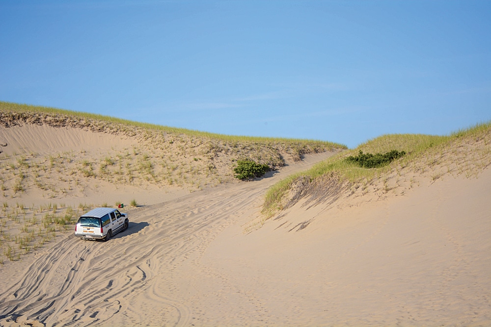 Since 1946, the Art Costa family has been driving visitors through the dunes. On the northern end of the cape, America’s tallest all-granite structure, the Pilgrim Monument, towers above the beach in Provincetown.