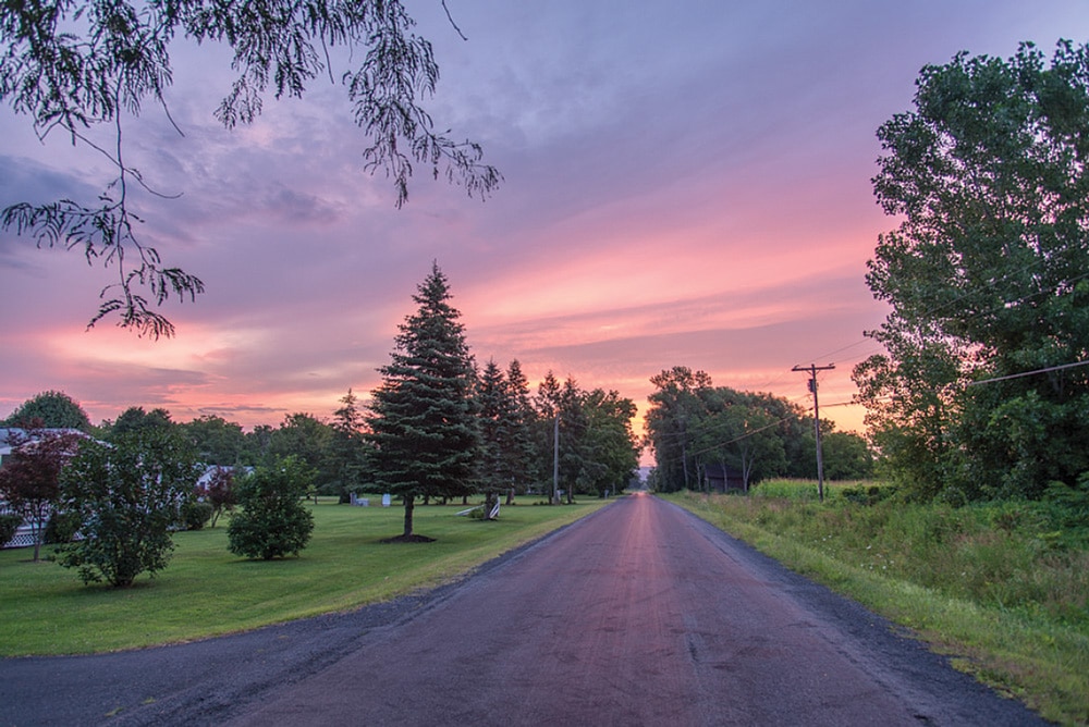 Sunrise casts a pink glow on a quiet country lane.