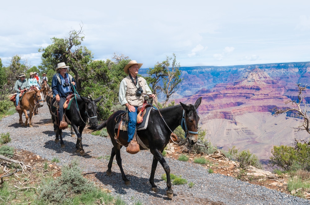 The mule trip down Bright Angel Trail to the Phantom Ranch is a 10½-mile descent that lasts about 5½ hours. The trip up South Kaibab Trail the following day lasts about 5 hours.