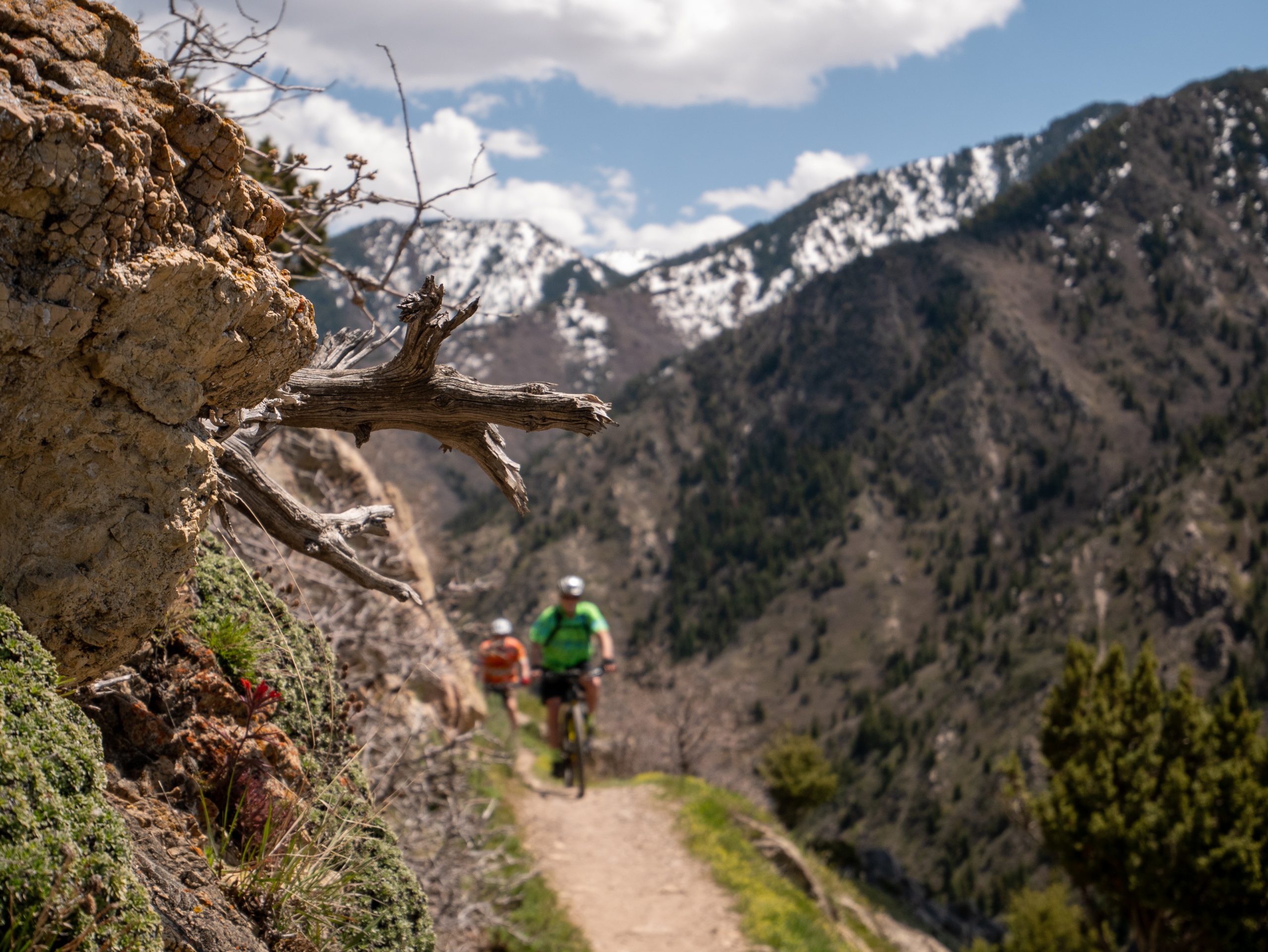 Two mountain bikers in distance on narrow Rattlesnake Gulch trail, Salt Lake City