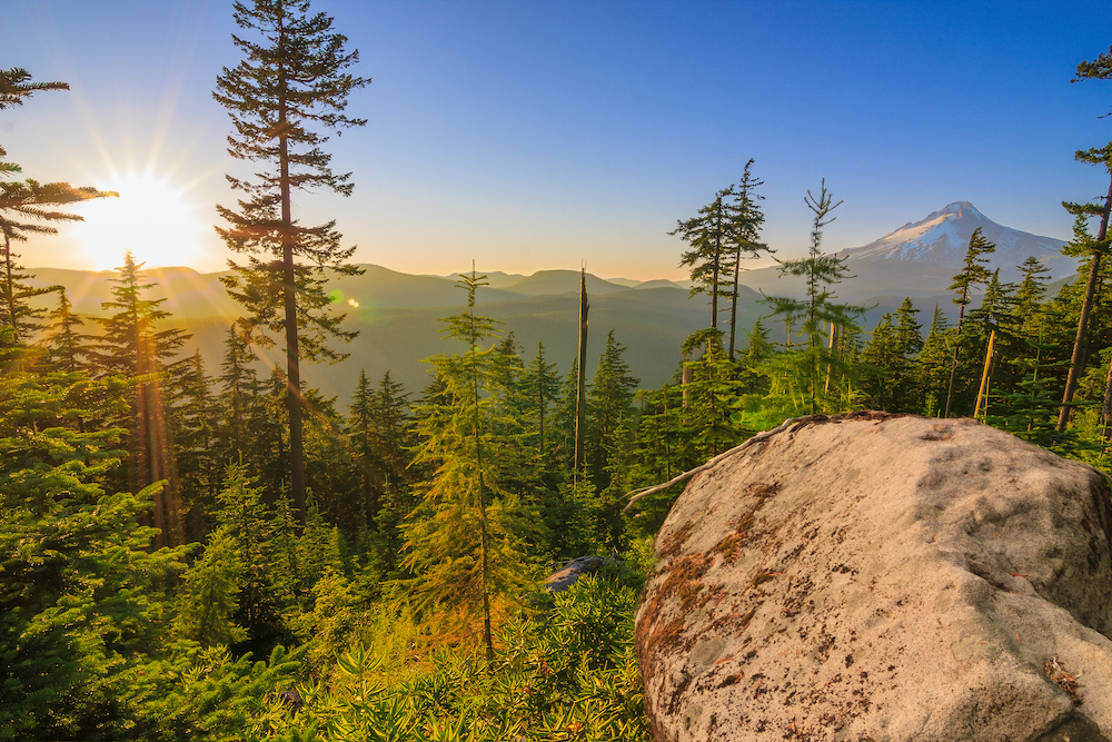 Mount Hood National Forest