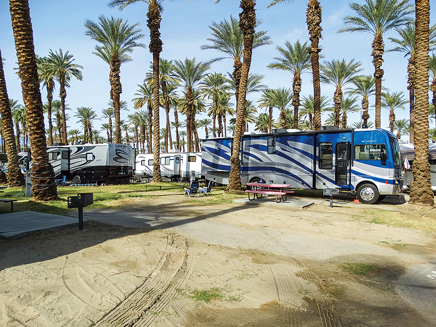 Spacious sites – with sand, grass and plentiful palms – invite a quick change to shorts and bare feet at Palm Springs RV Resort. 