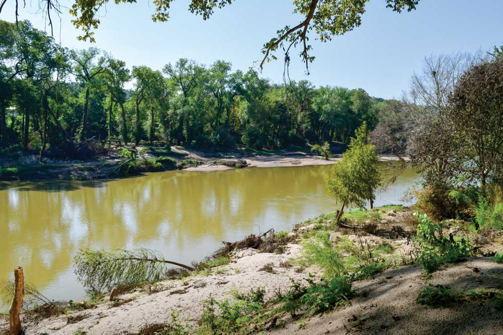 Muddy green river with green trees on either side