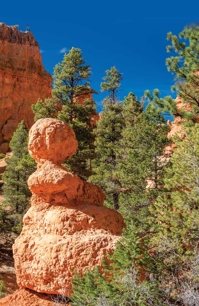 Hoodoos come in many shapes and sizes and are constantly being reshaped as Mother Nature continues her work.