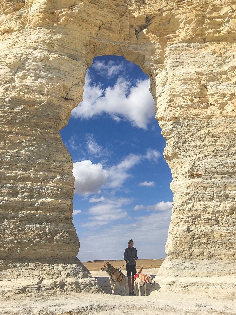 2 Traveling Dogs in Kansas