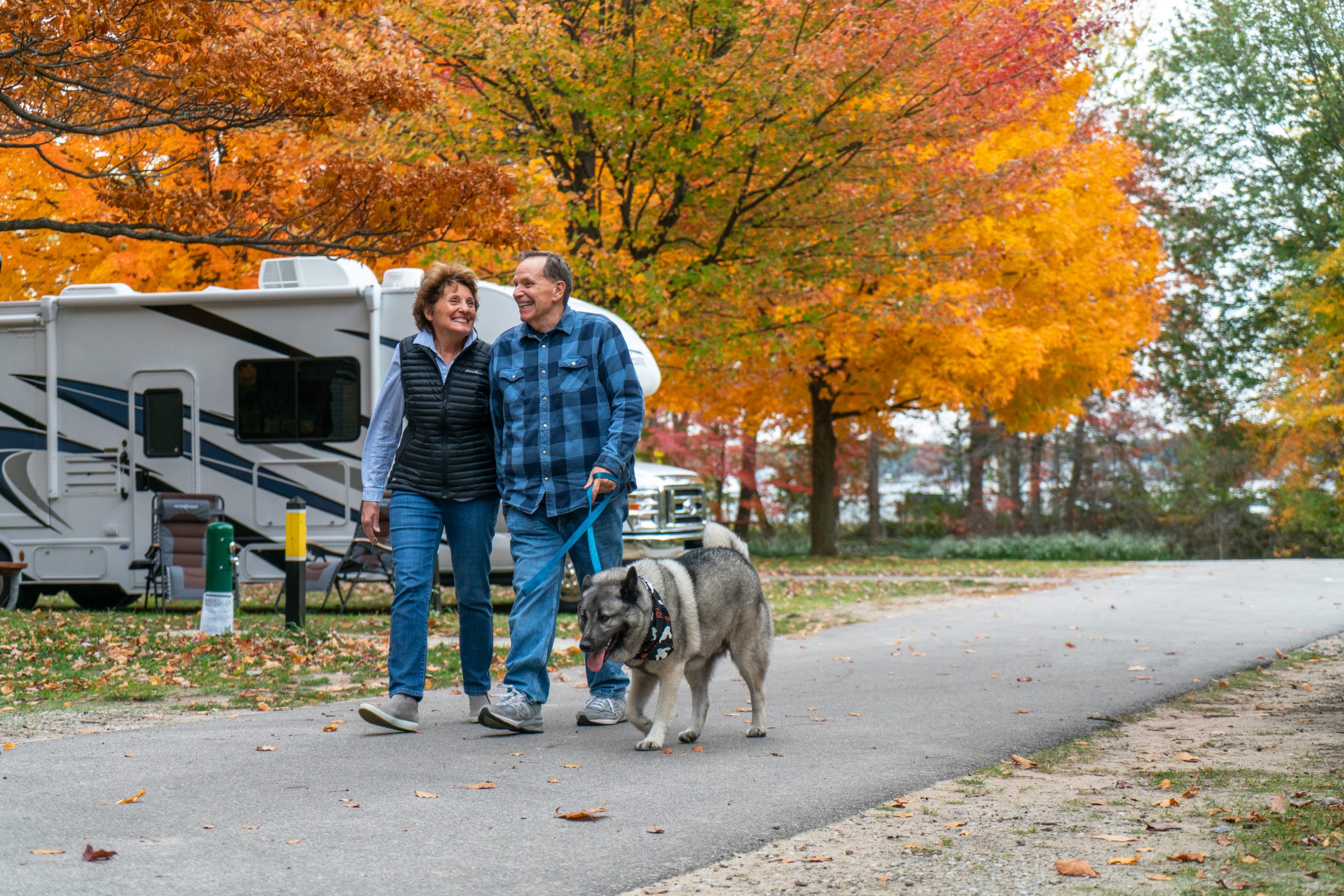 Camping with Your Dog