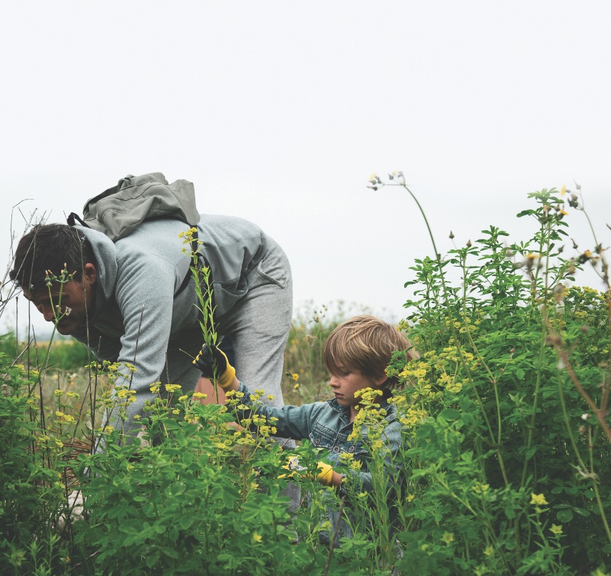 Ballona Wetlands_Volunteer