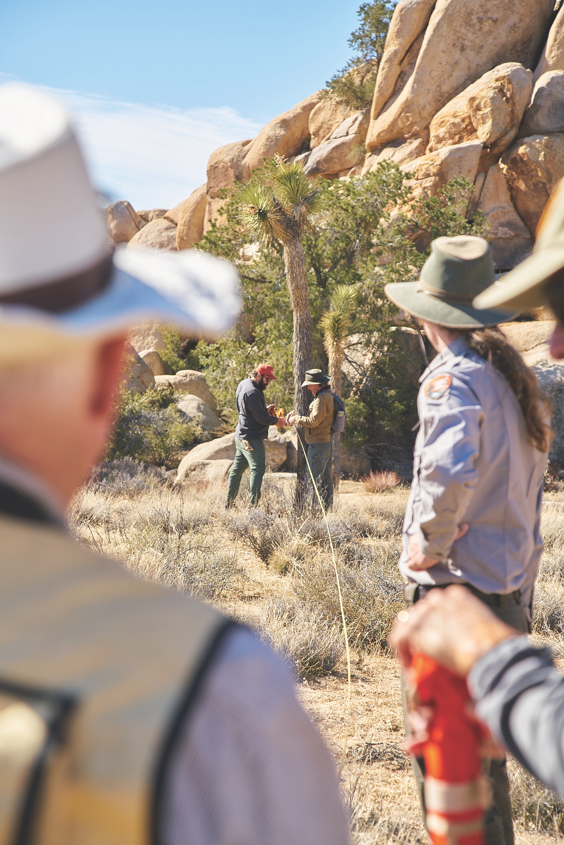 Joshua Tree Team Volunteer Trip