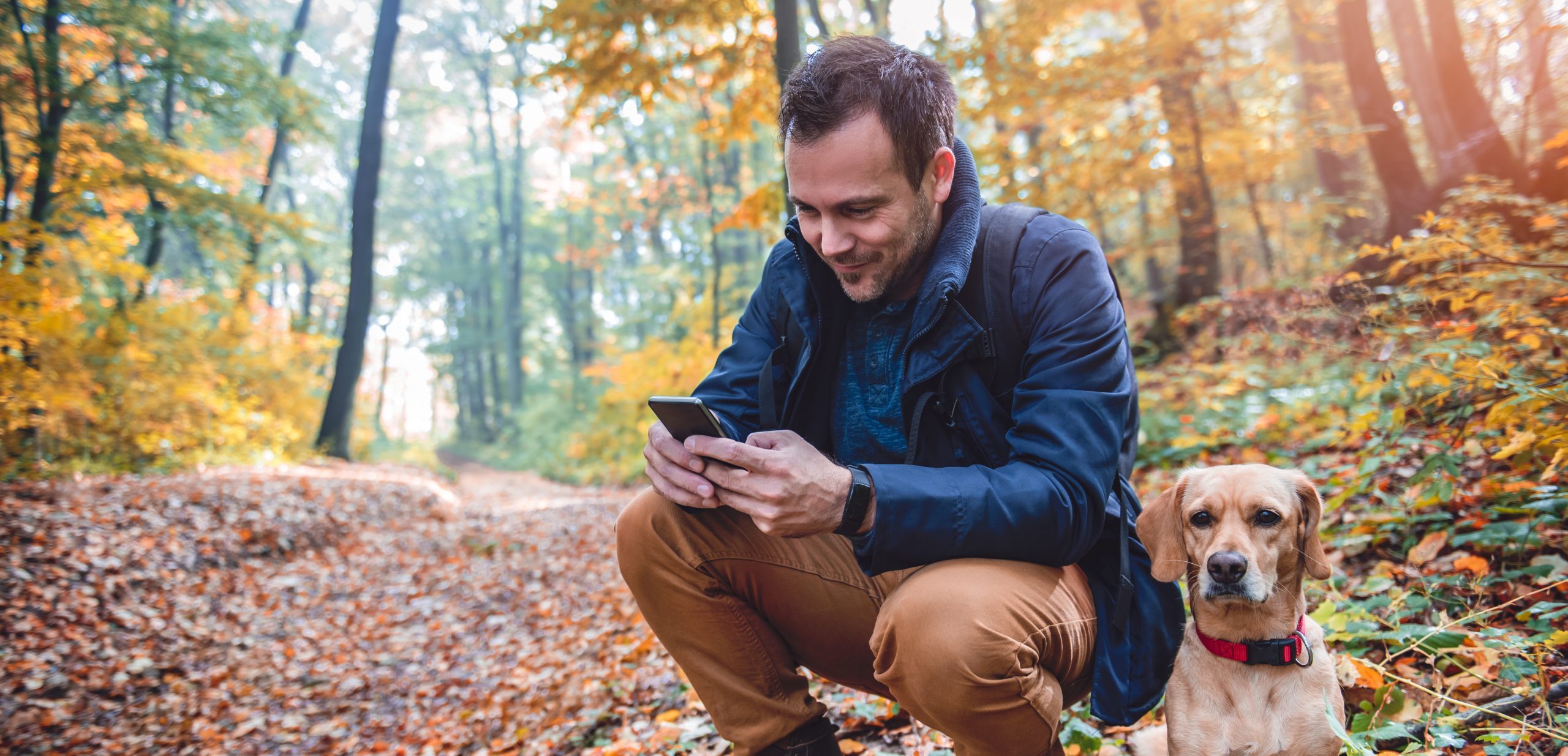 Man Uses Phone Forest