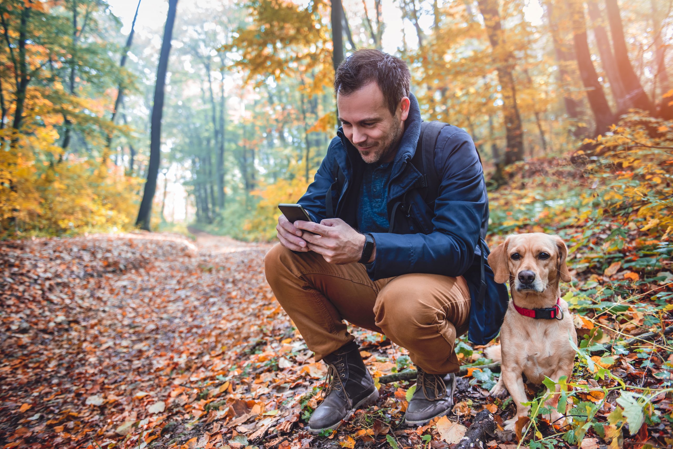 Man Uses Phone Forest