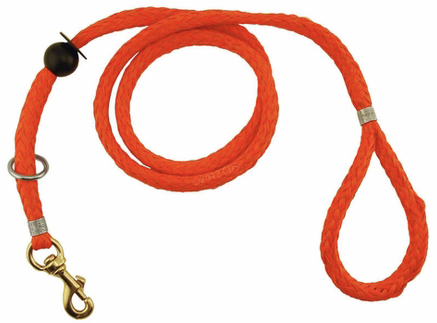 orange dog leash