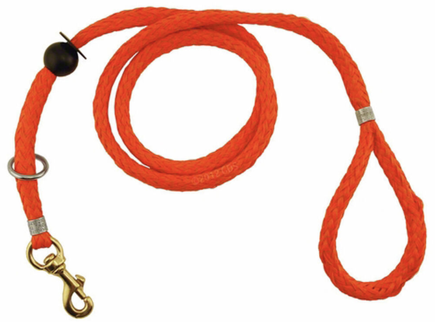 Best Leashes for Hiking with Your Dog