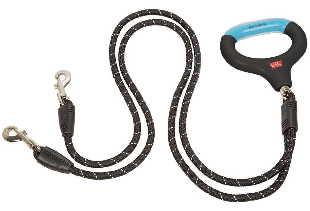 Best Leashes for Hiking with Your Dog