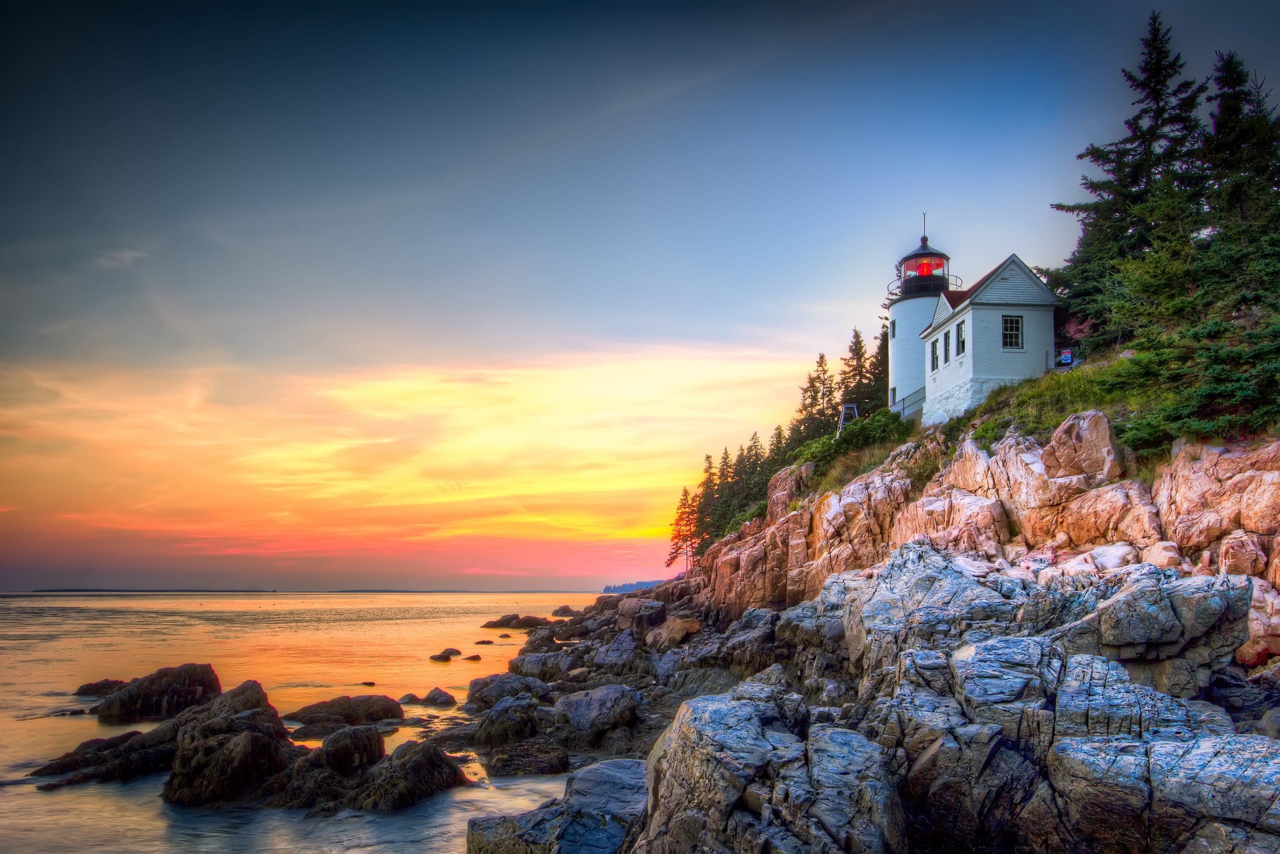 Birdwatching at Acadia National Park