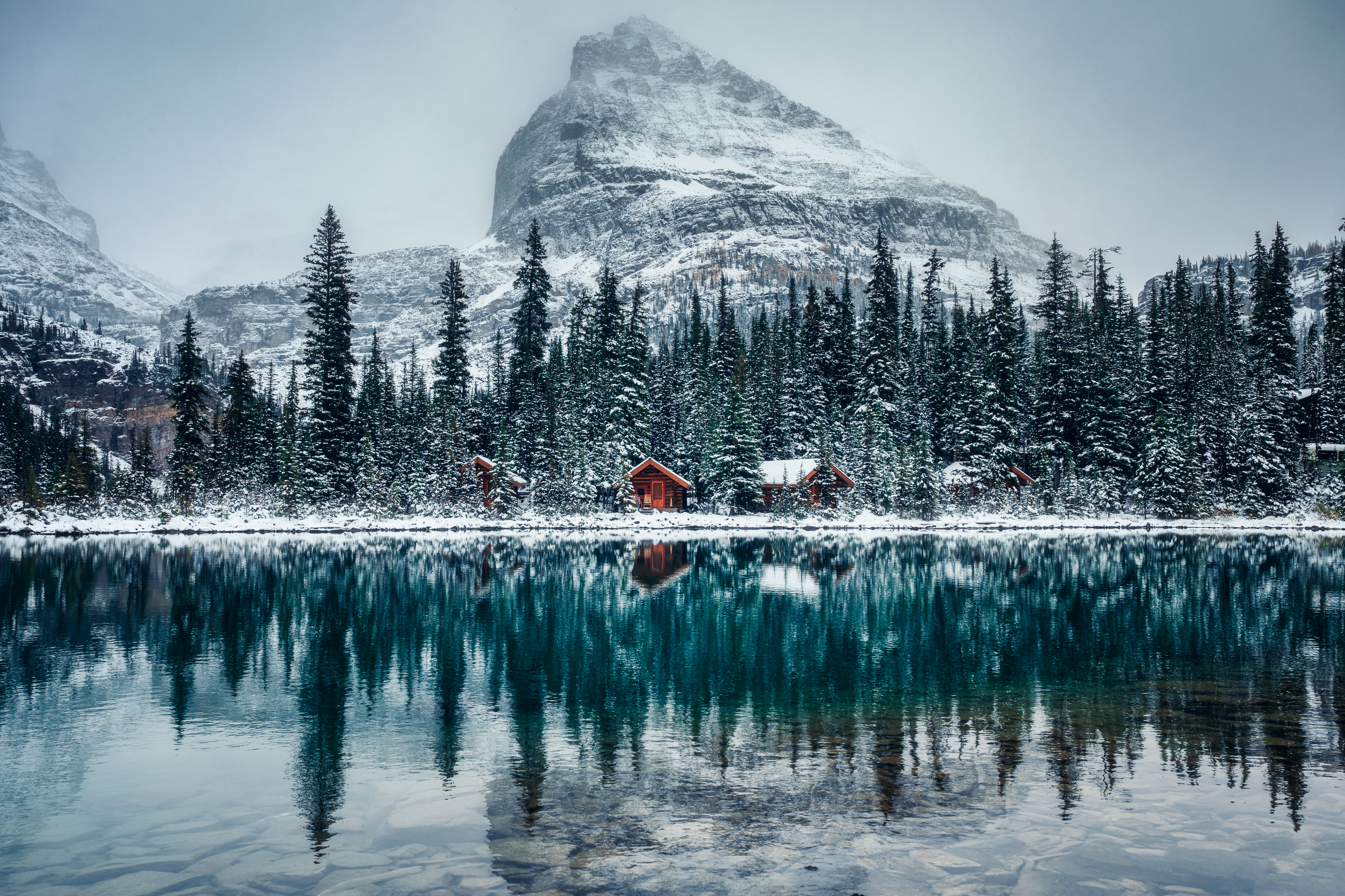 Winter Landscape