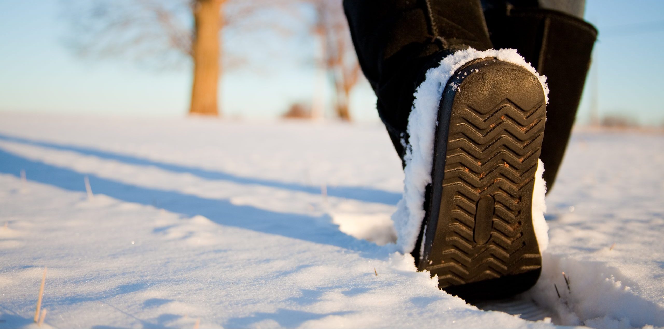 Winter Hike