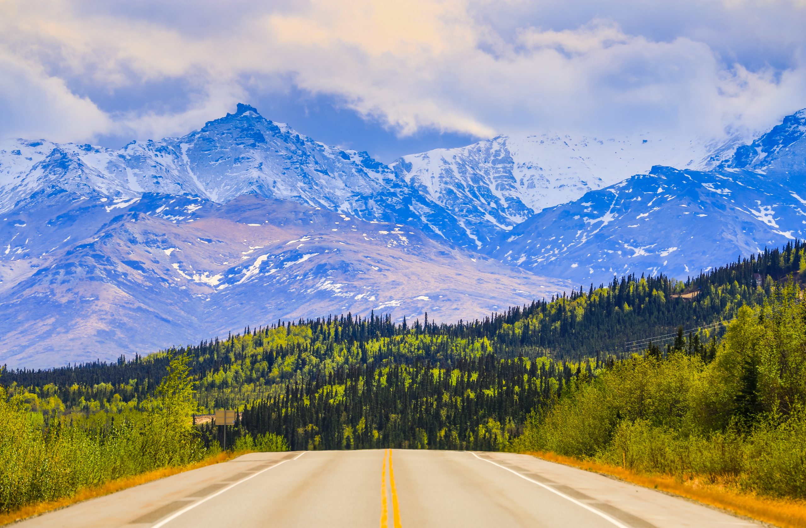 Denali National Park