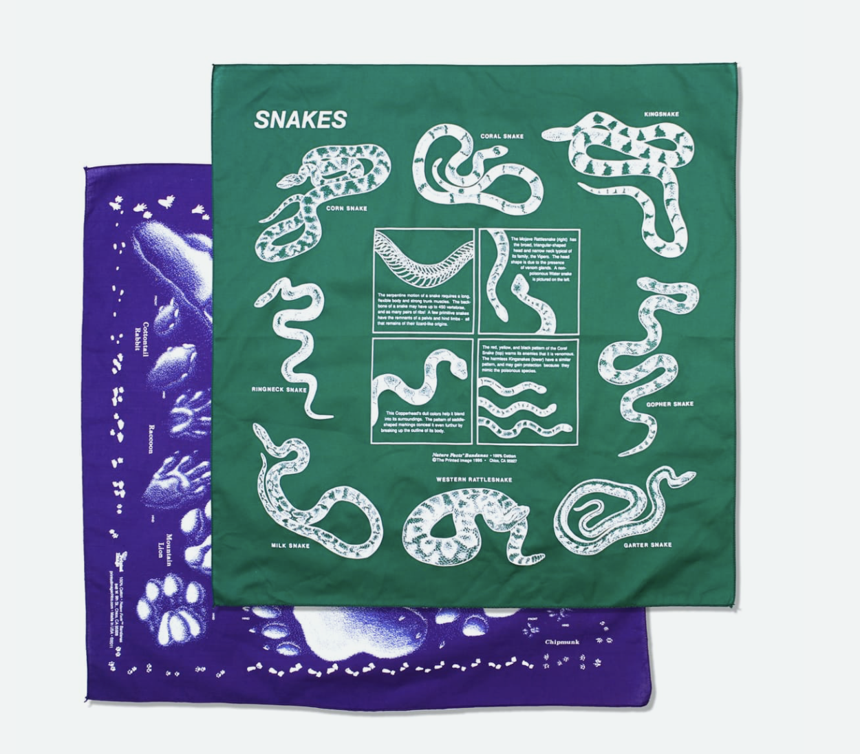 Animal Facts Bandana