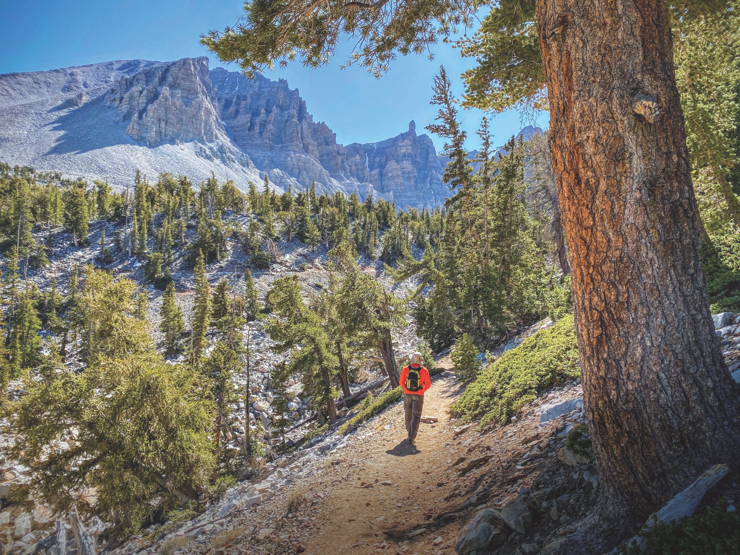 Outdoor Exercise Nature Hike