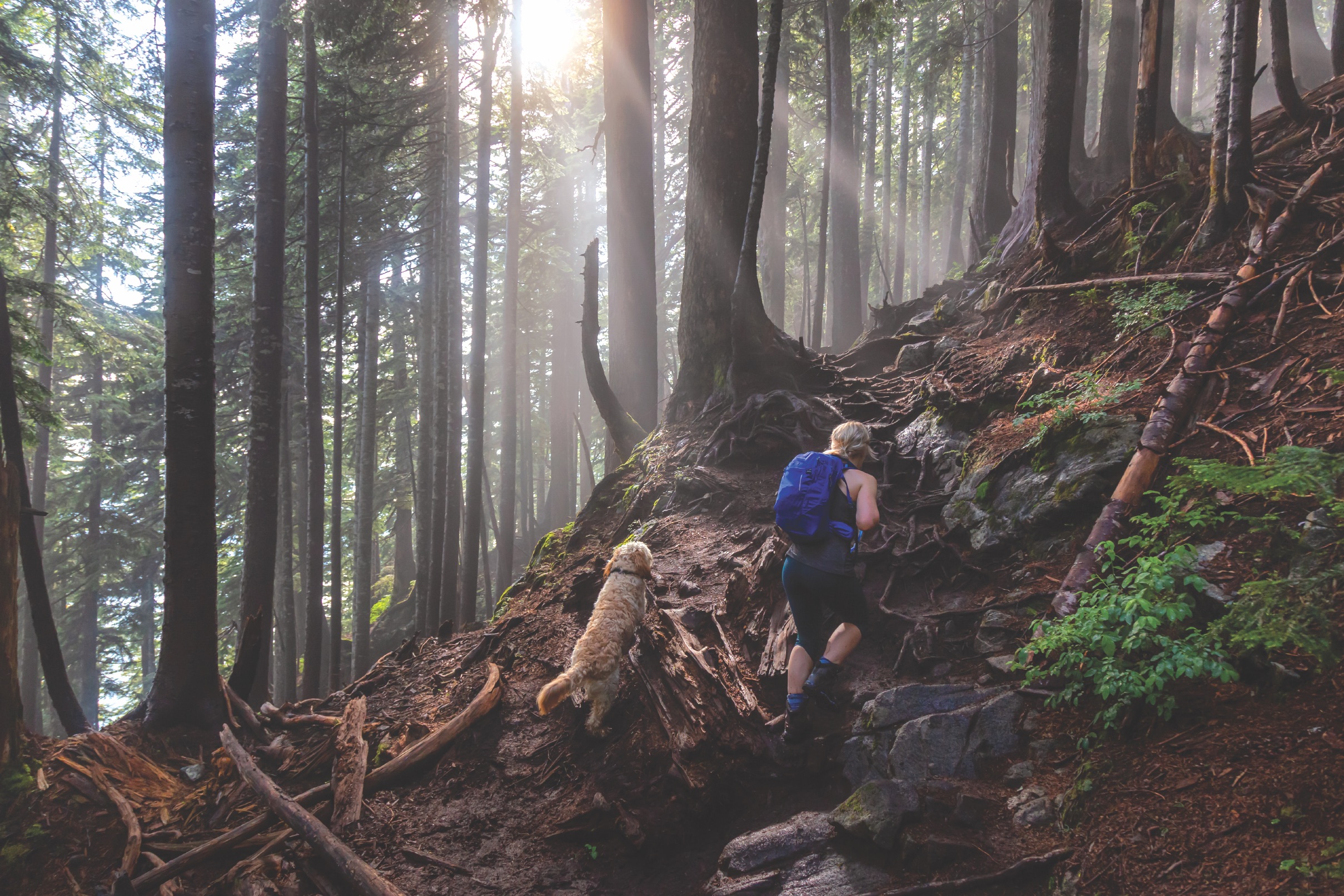 Hiking with Dog