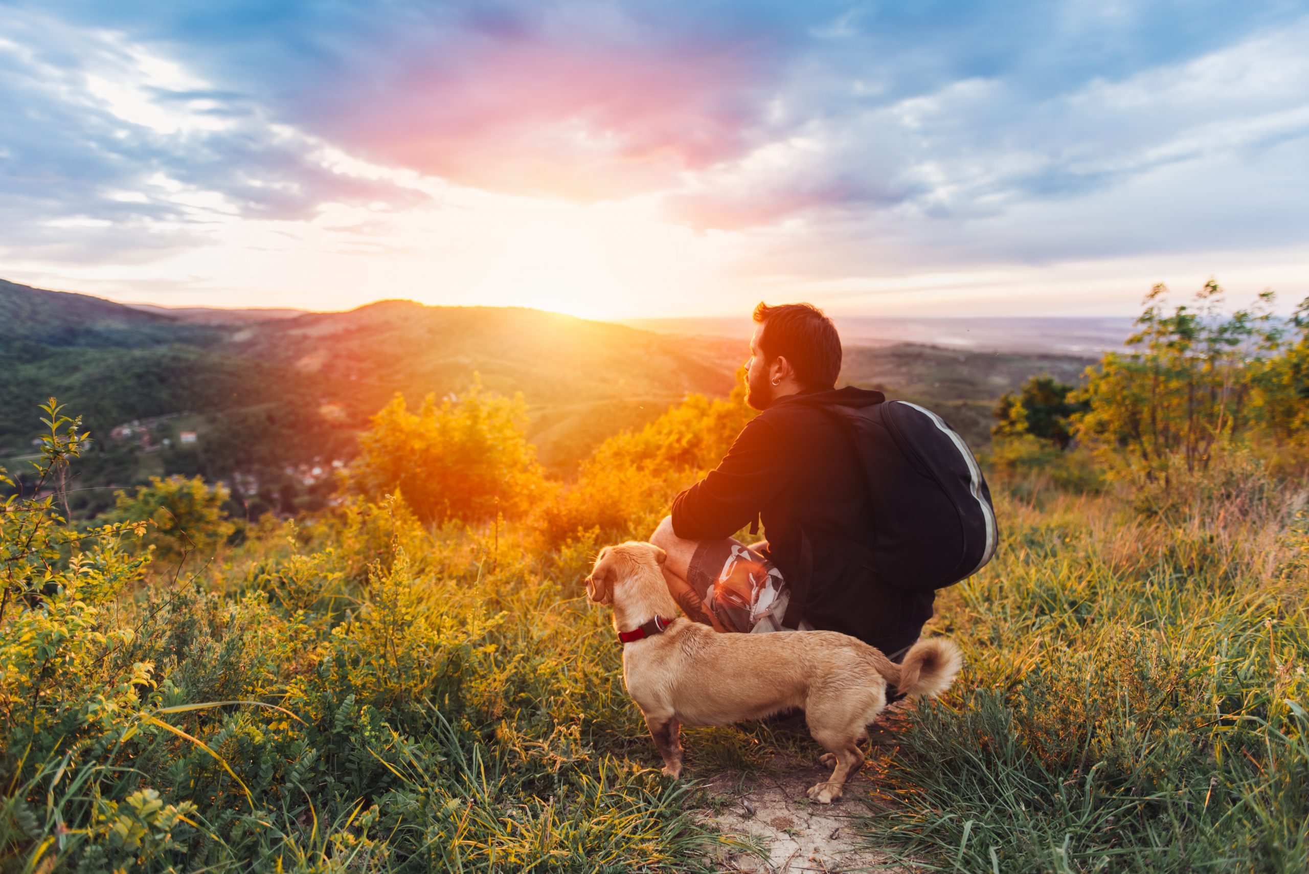 Man with beard and his small yellow dog enjoying mountain sunset and looking at the distance. He is waring black backpack and black sport sweater.