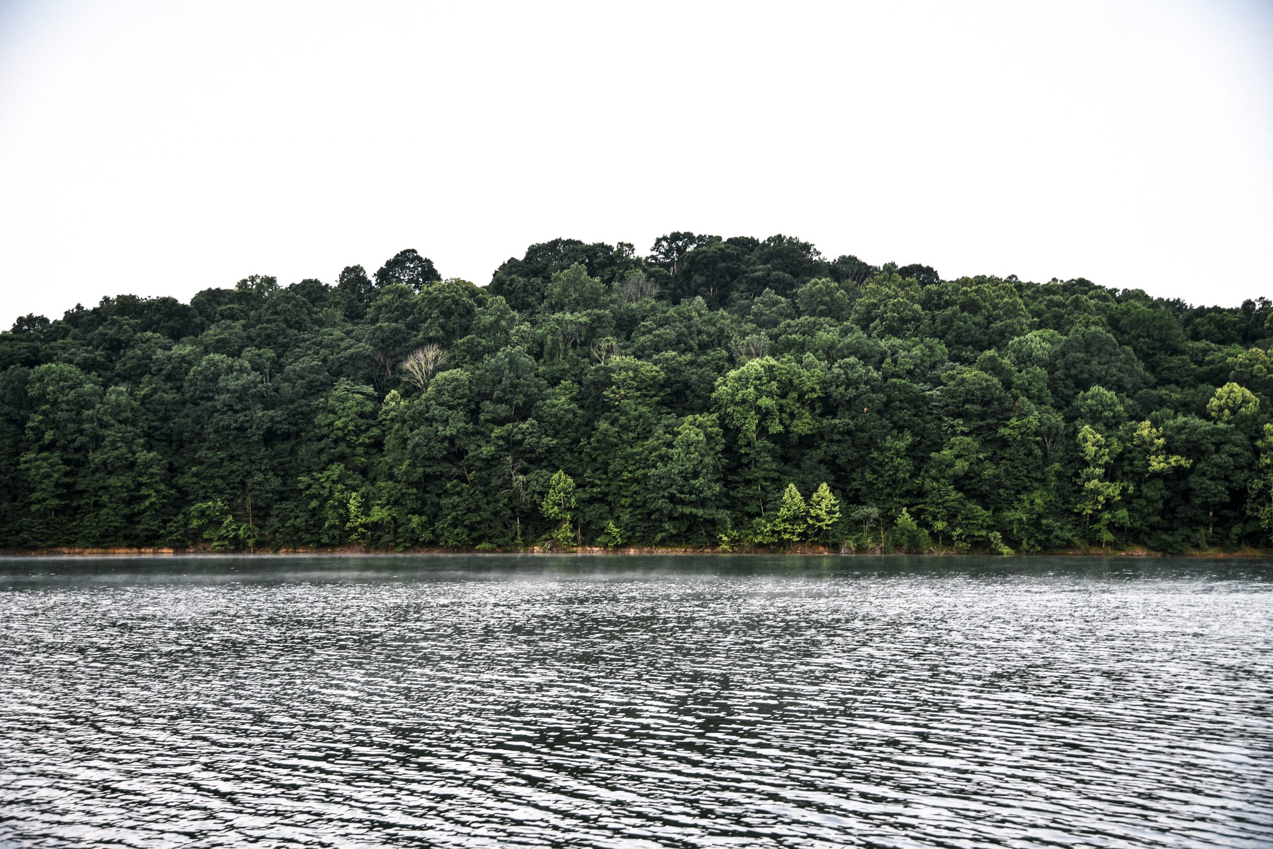 Hoosier National Forest