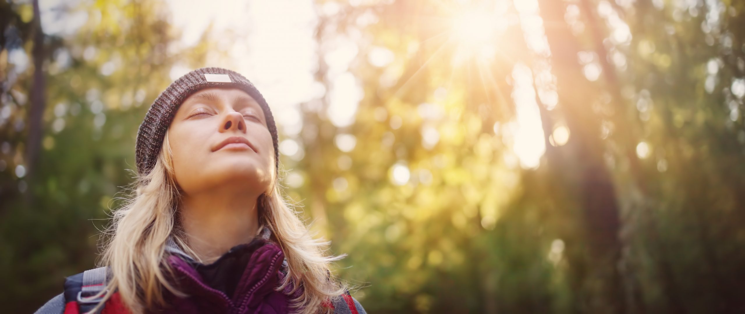 Take in Nature on a Hike