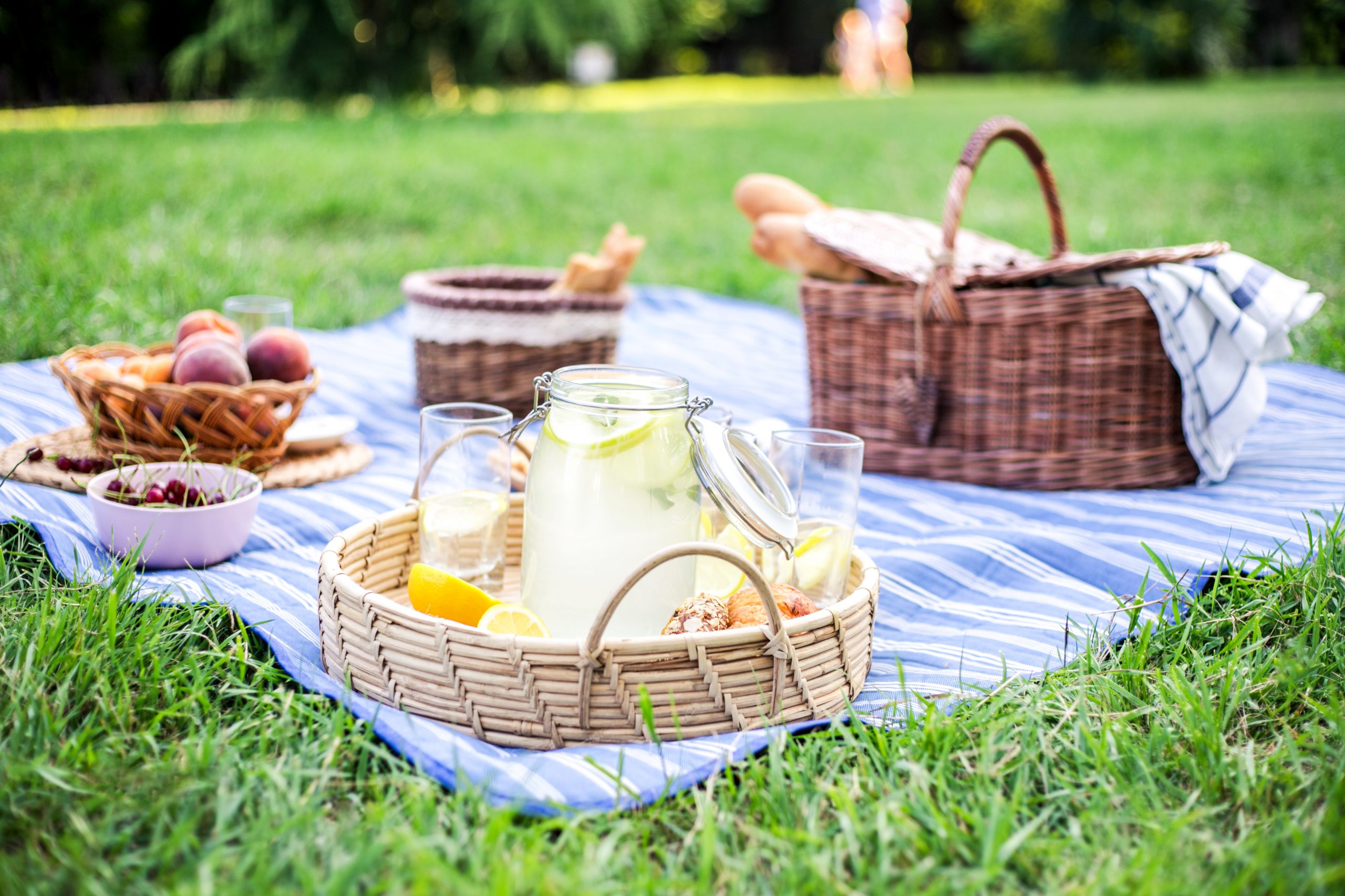 Must-Have Picnic Gear