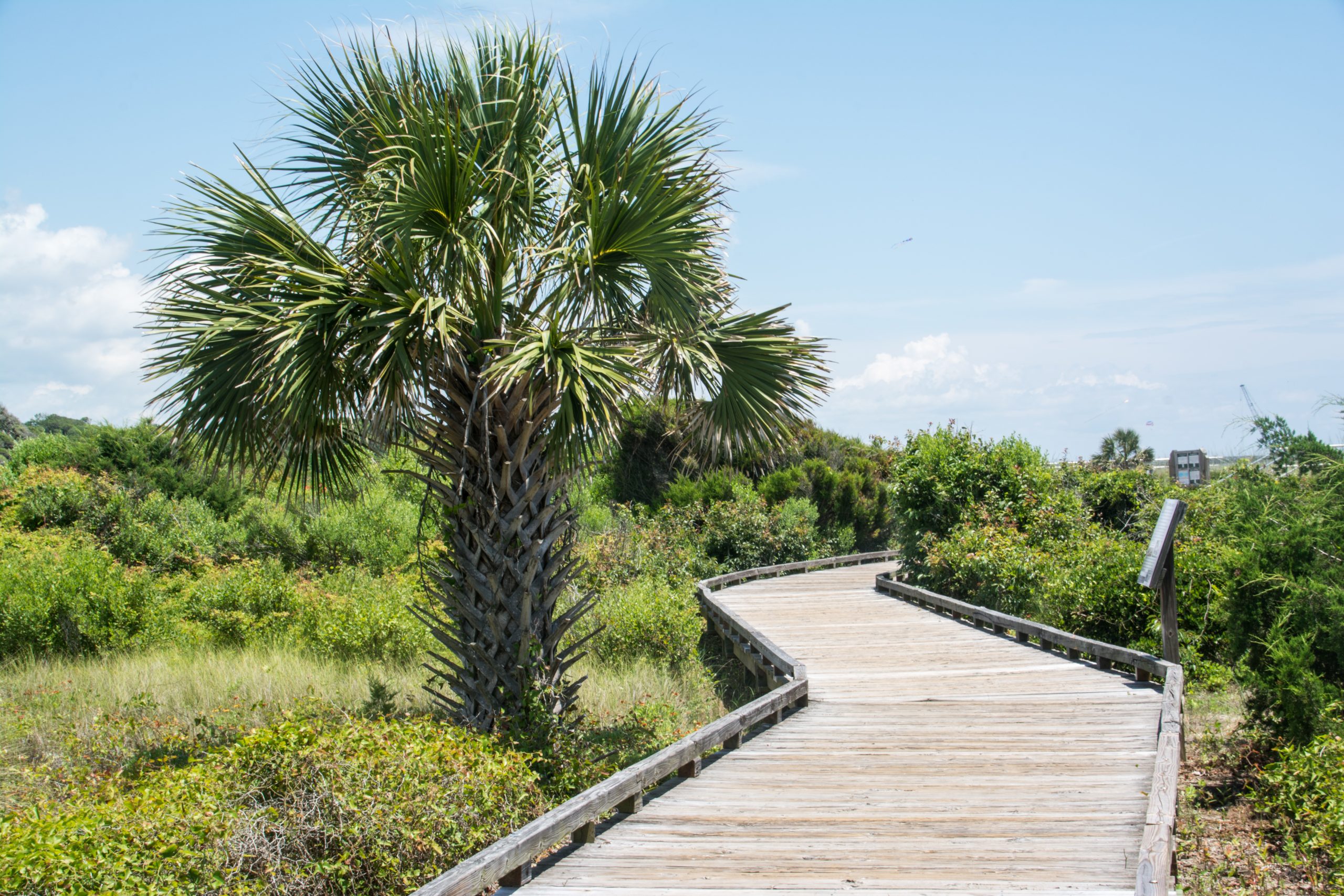 Myrtle Beach State Park, South Carolina