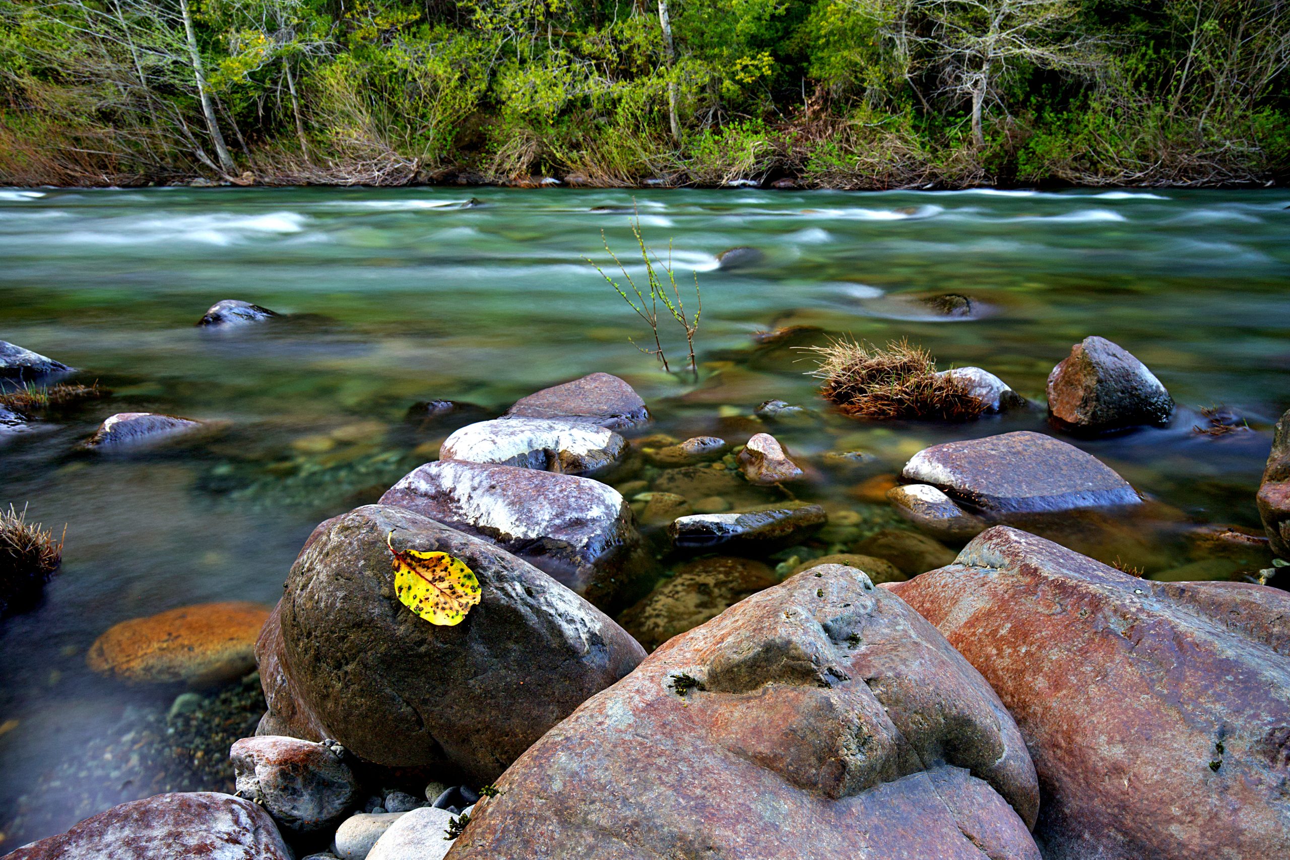 Smith River