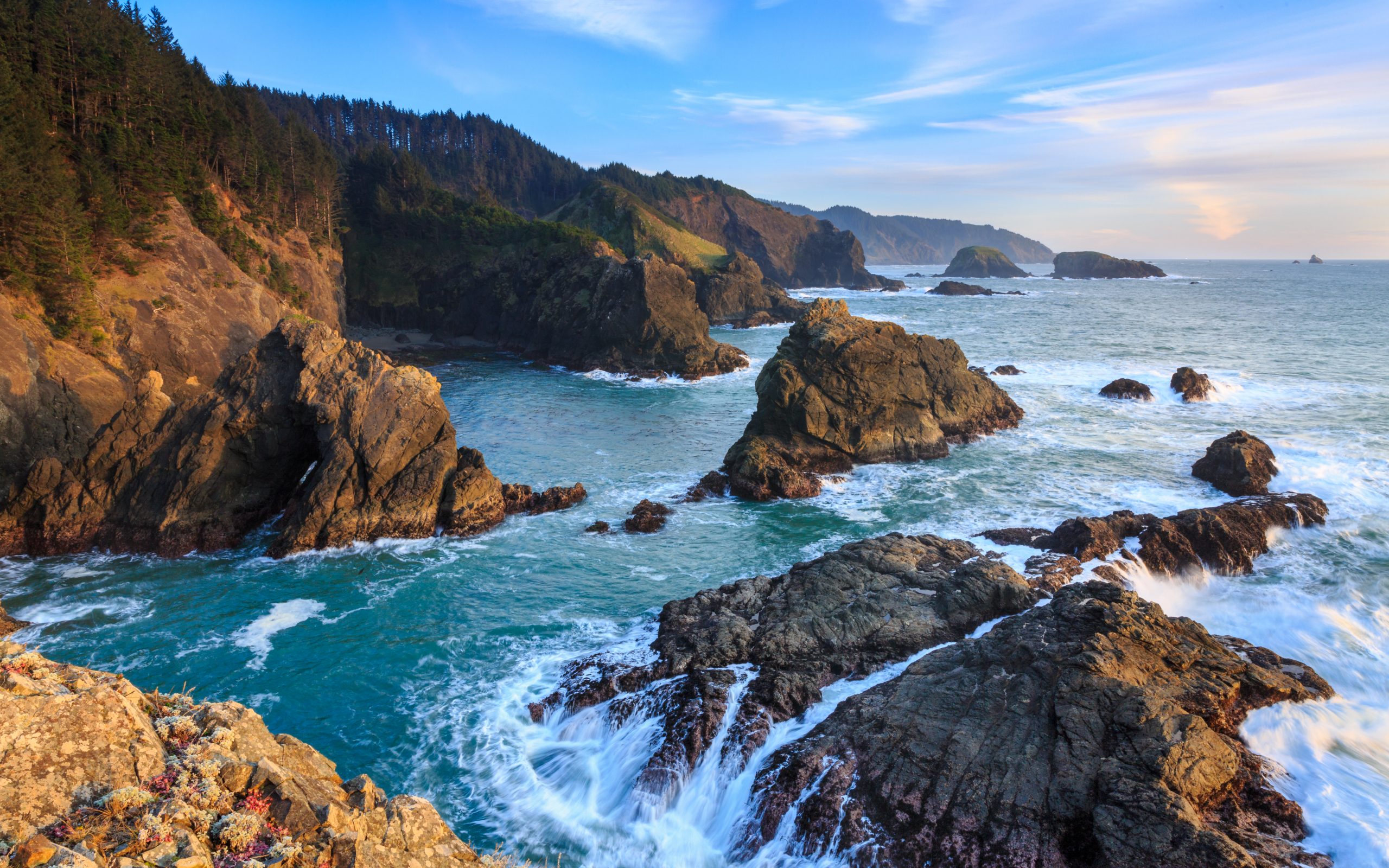 Oregon Coast