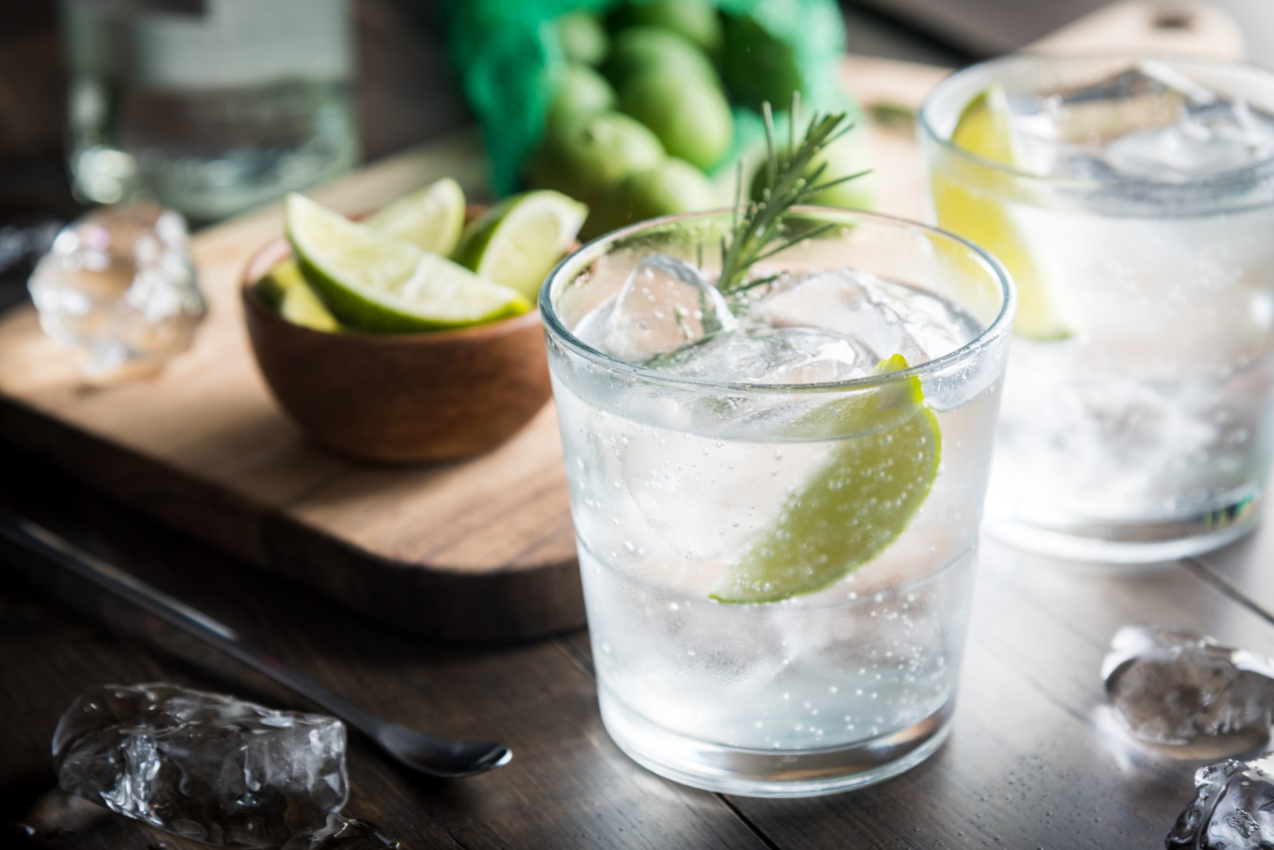 Gin and Tonic Cocktail