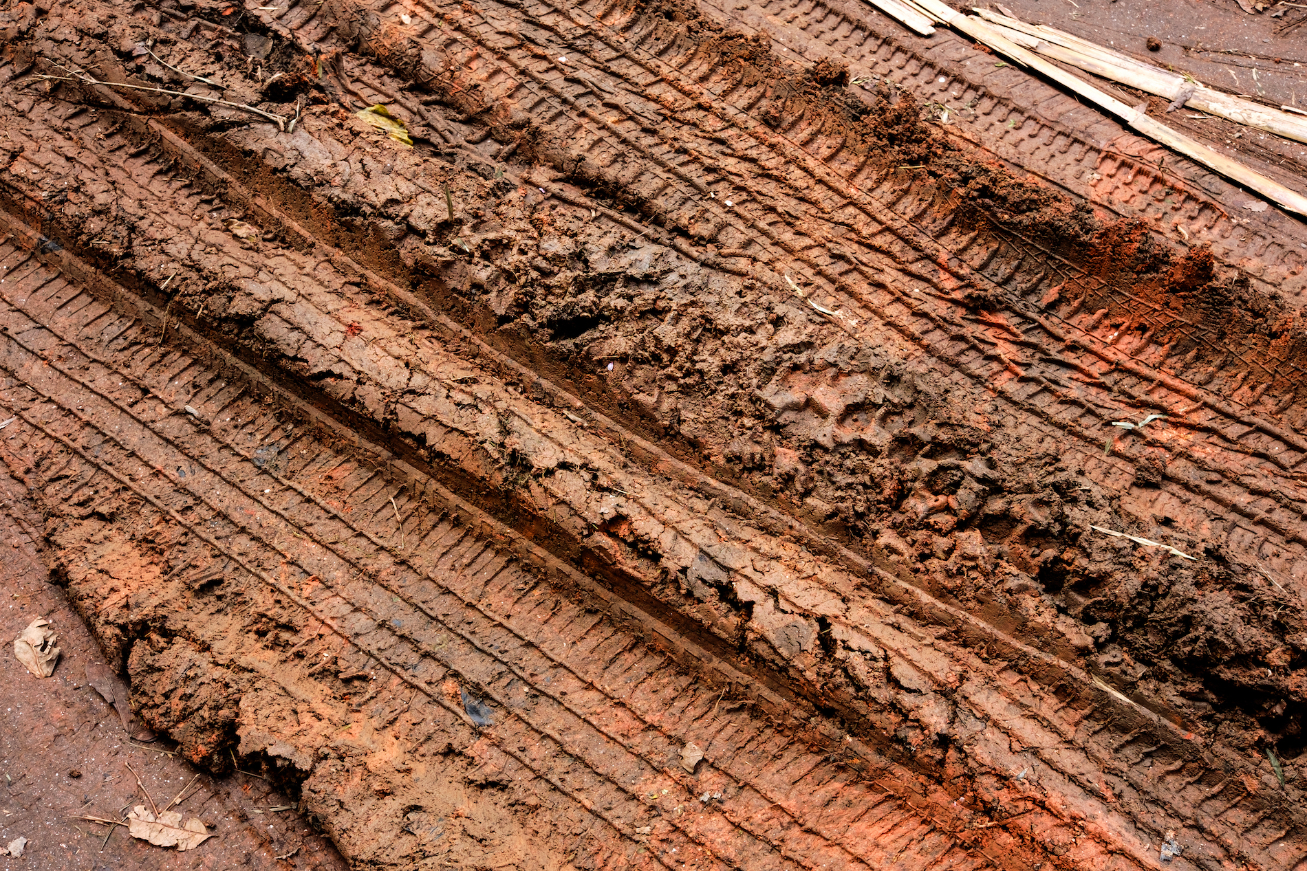 Tire tracks in mud