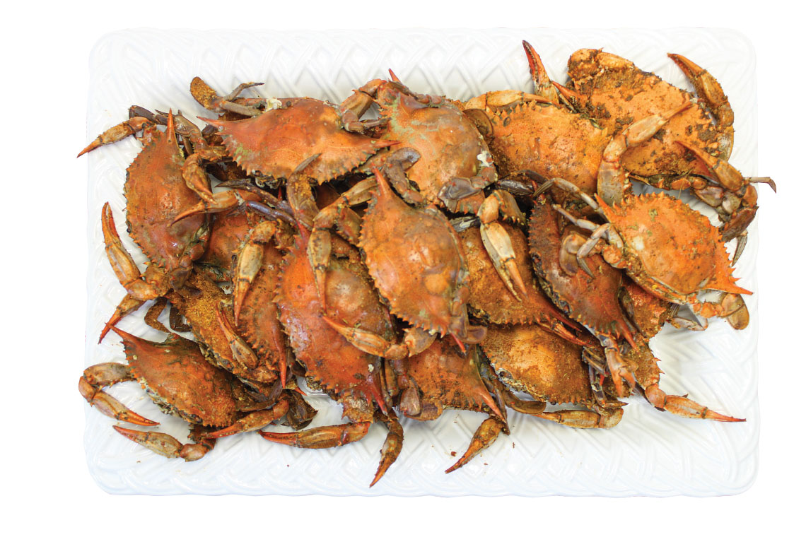 Maryland Blue Crabs