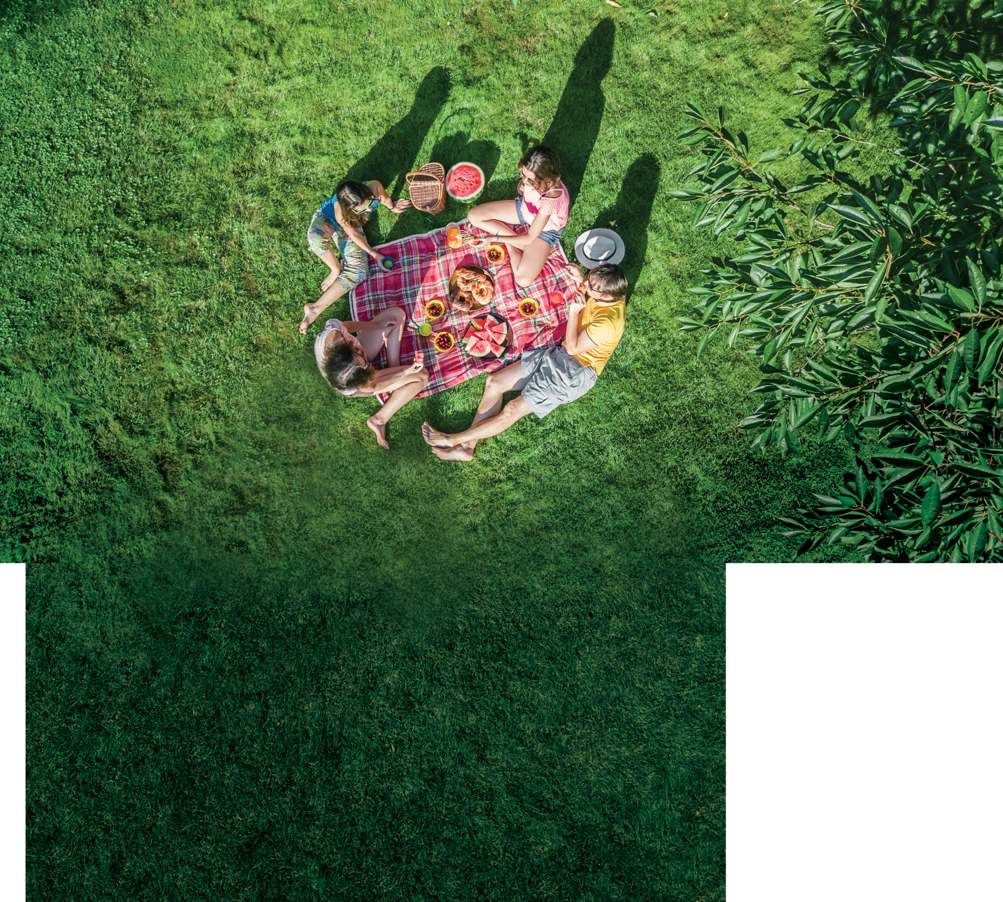 Pack the Perfect Picnic