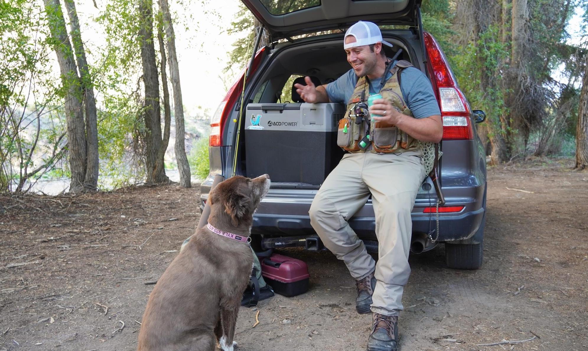 LionCooler X40A Portable Fridge Freezer Cooler by ACOPower in the back of an SUV