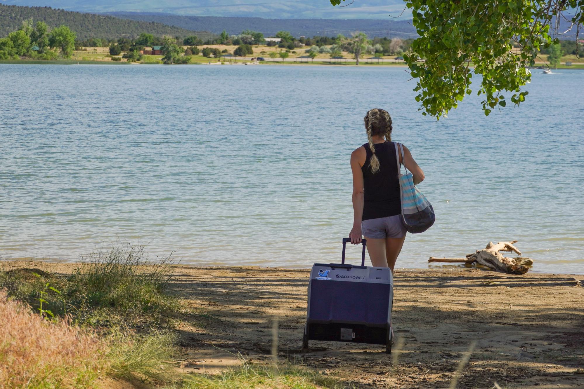 LionCooler X40A Portable Fridge Freezer Cooler by ACOPower by the beach