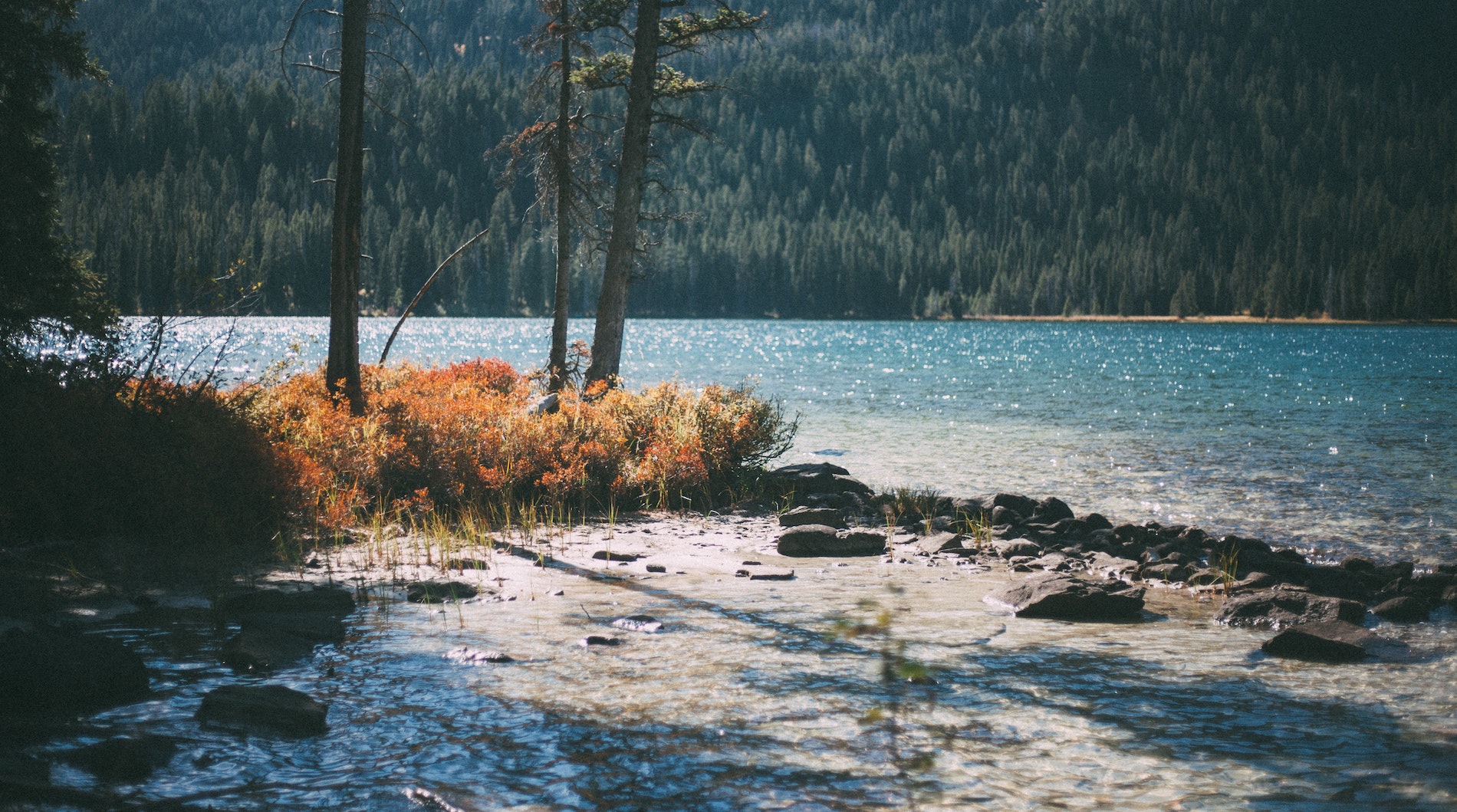 teton national forest, united states