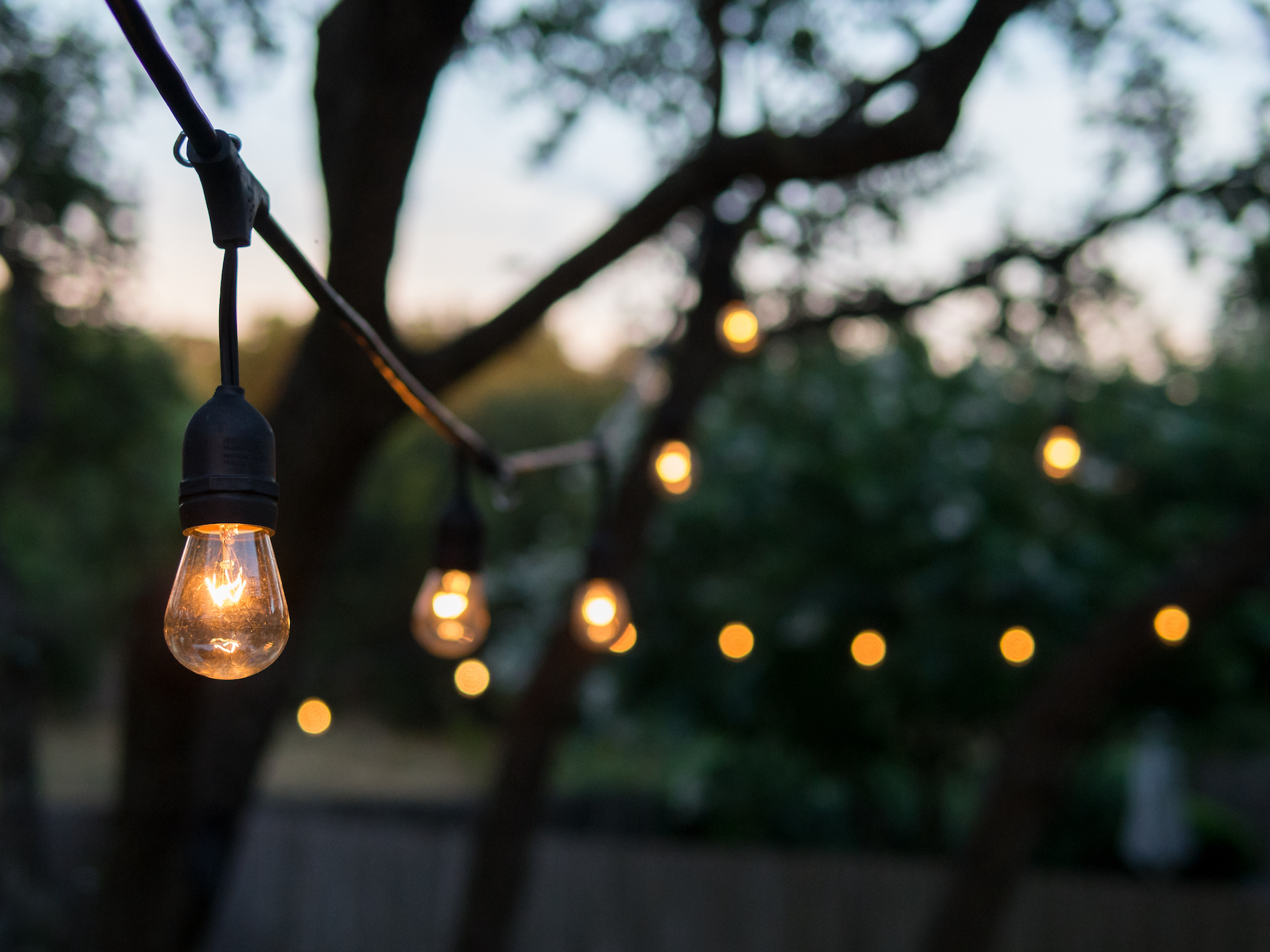 Decorative outdoor string lights hanging on tree in the garden at night time