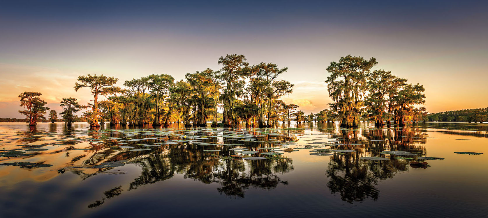 Caddo Lake State Park, Texas