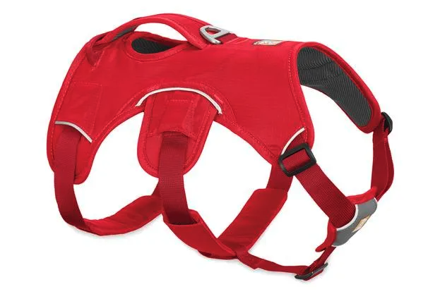 WEB MASTER™ DOG HARNESS WITH HANDLE