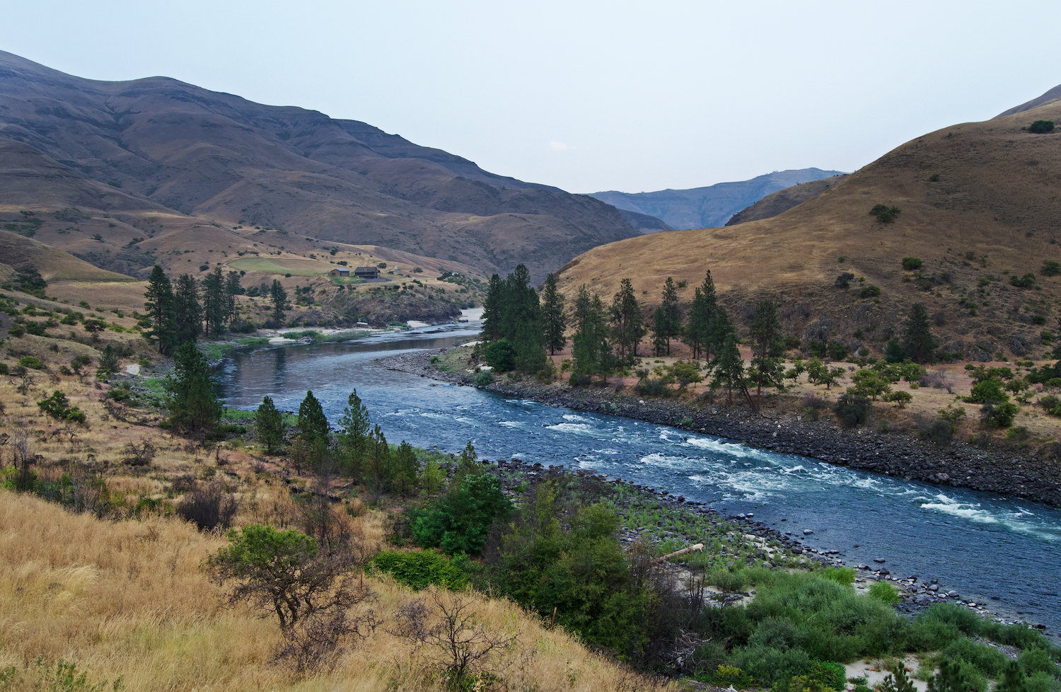 Lower Salmon River Idaho