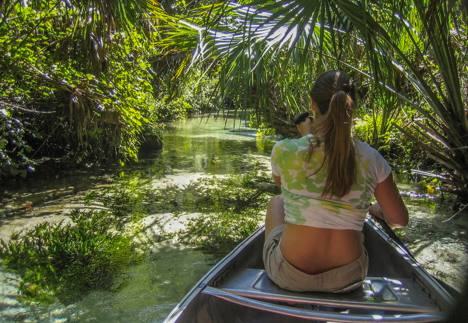 Woman Canoeing Down Juniper Run In The Ocala National Forest, FL - Tropical and lush looking jungle canopy with crystal clear water