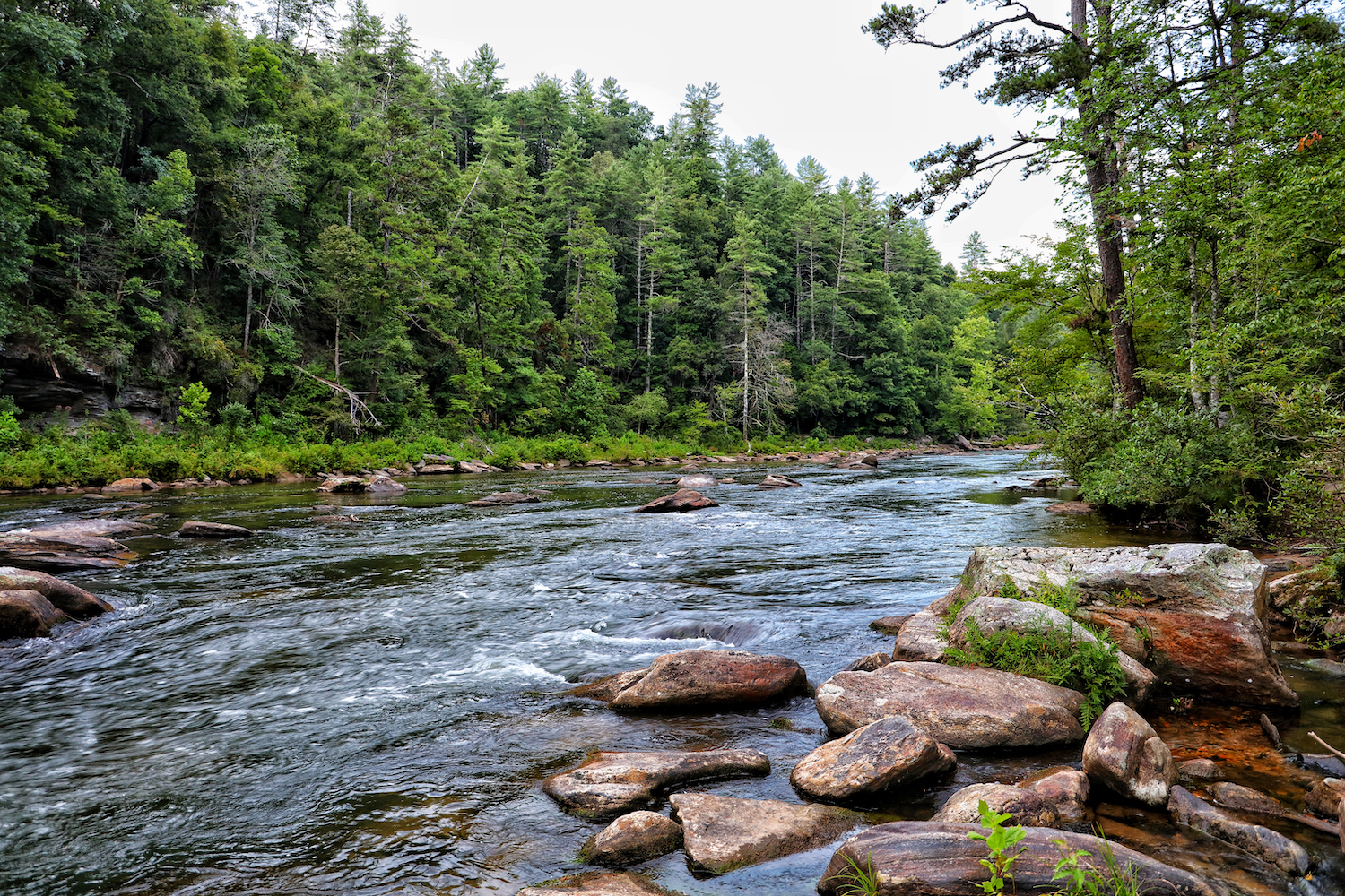 Chattooga River descends rapidly from the Blue Ridge geologic province and forms the majority of Georgia's northeast boundary between Rabun county andd South Carolina's Oconee County. 