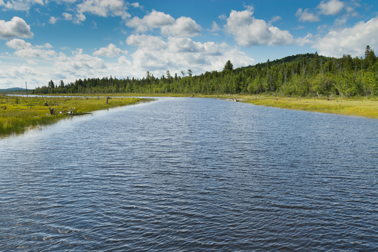 View of one of the rivers in Allagash Wilderness Waterway area in the North woods in Maine