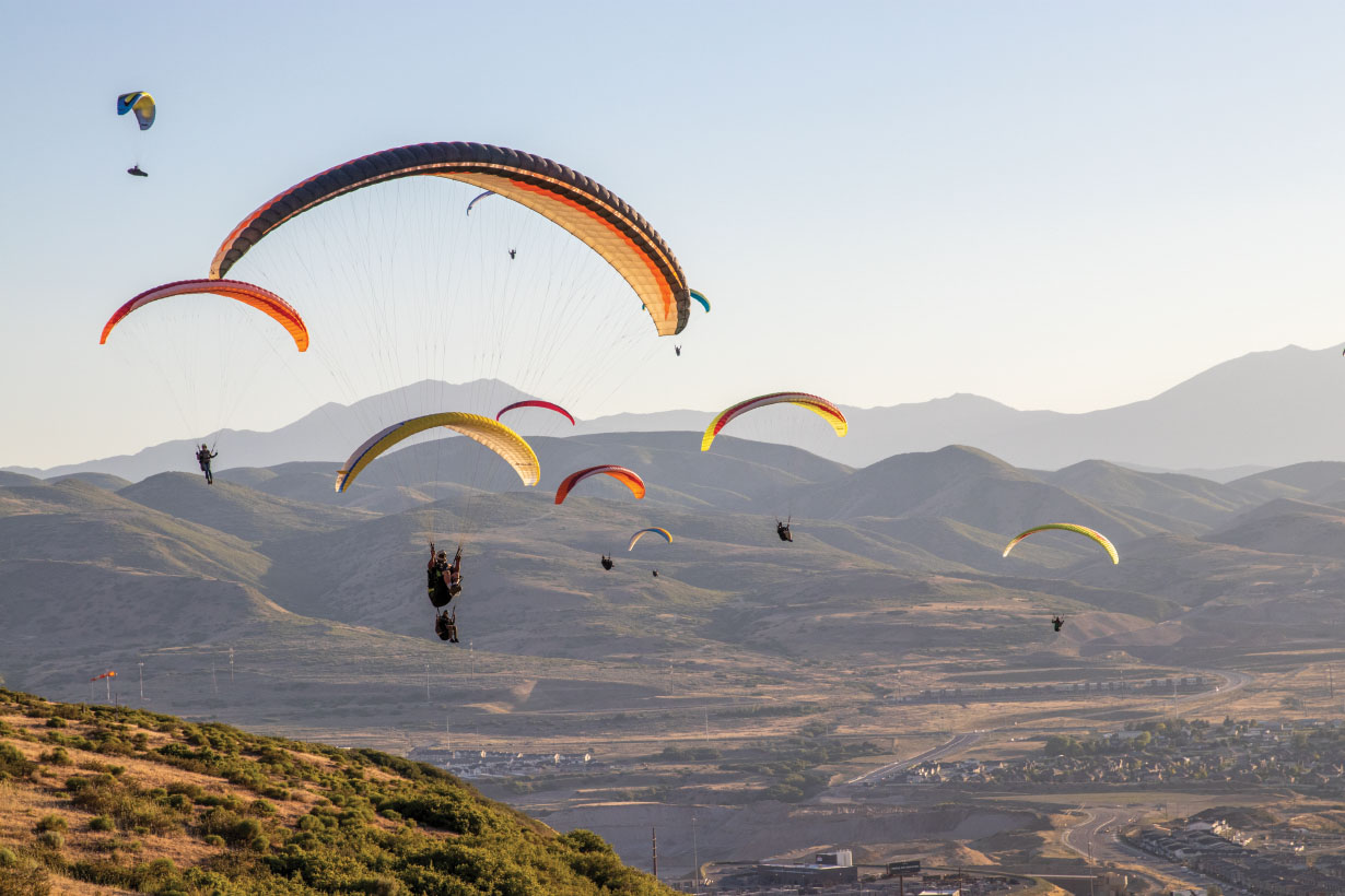 Paragliders