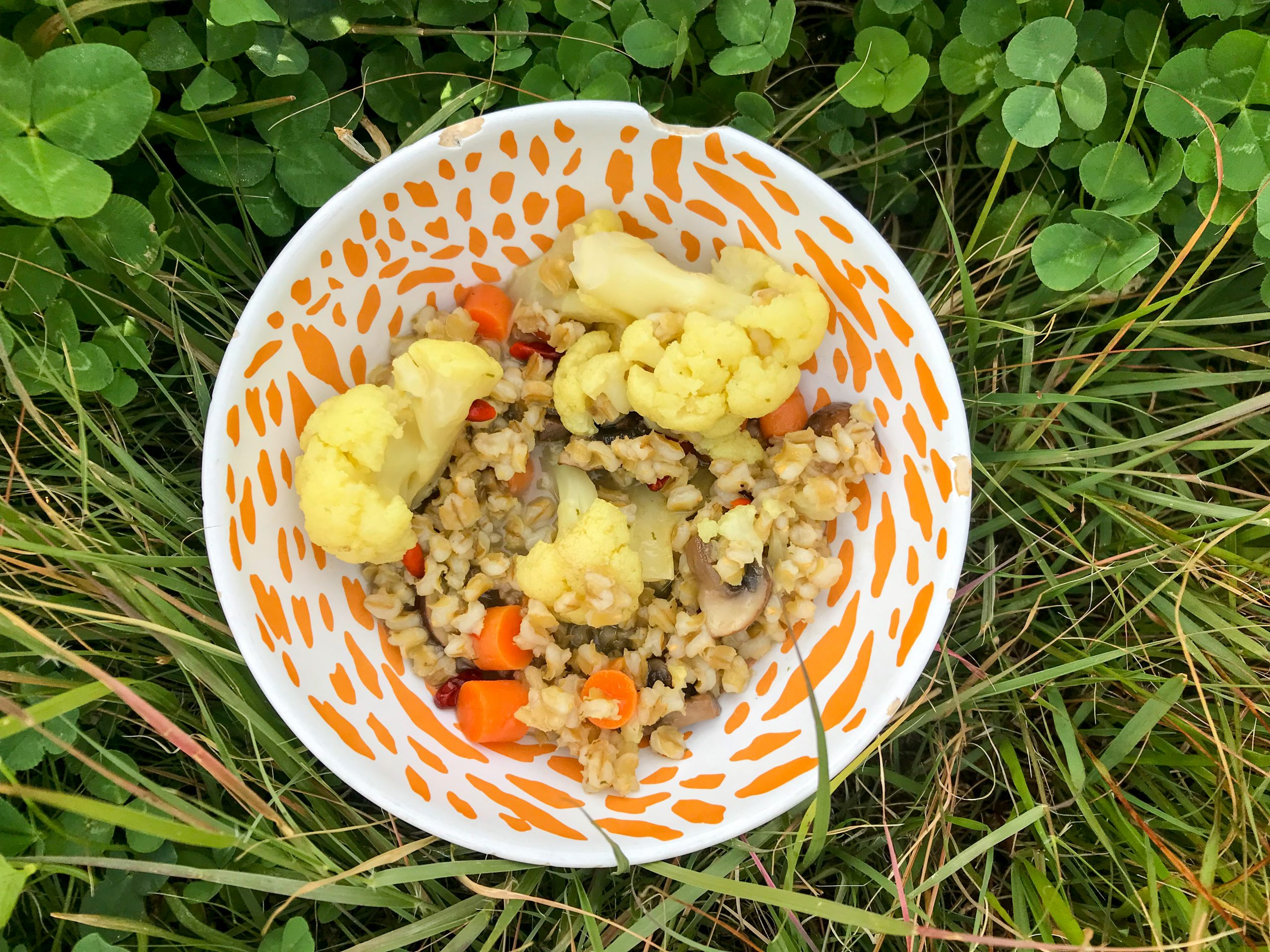 Midwest Barley Comfort Bowl