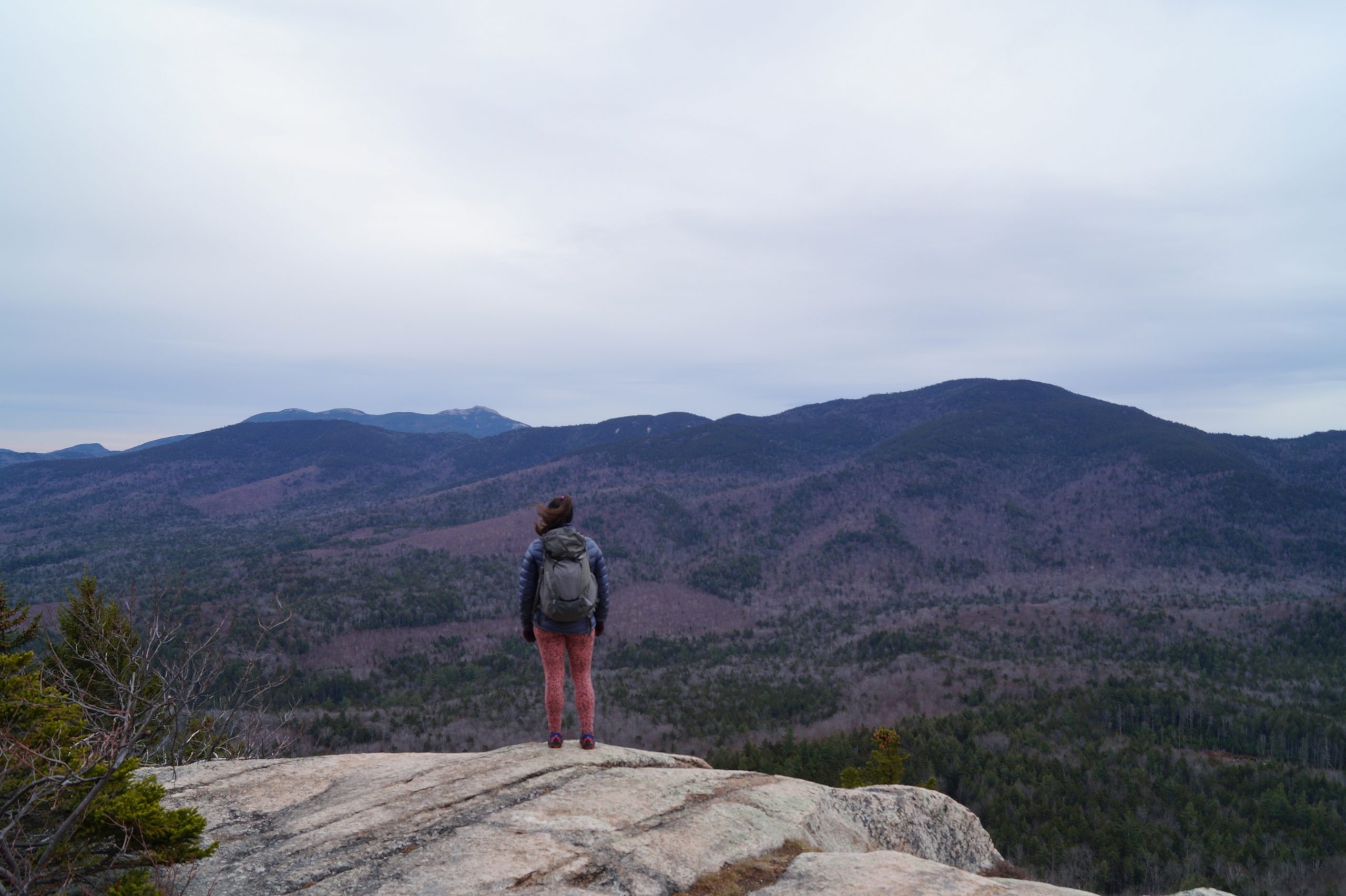 Passaconaway Hedgehog with Chocorua in the Distance